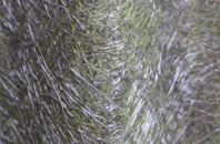 Limerstone fibreglass roof work